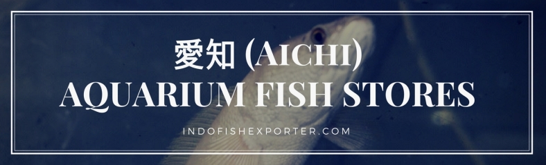 Aichi Perfecture, Aichi Fish Stores, Aichi Japan