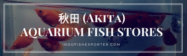 Akita Perfecture, Akita Fish Stores, Akita Japan