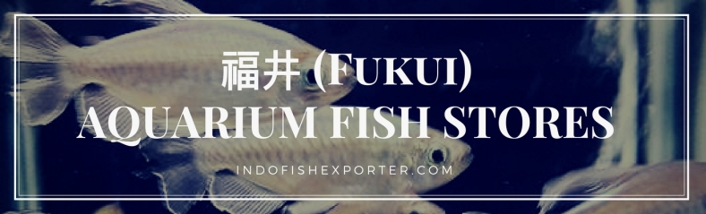 Fukui Perfecture, Fukui Fish Stores, Fukui Japan