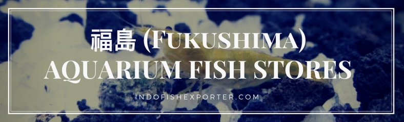 Fukushima Perfecture, Fukushima Fish Stores, Fukushima Japan