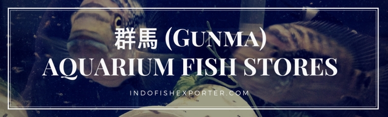 Gunma Perfecture, Gunma Fish Stores, Gunma Japan