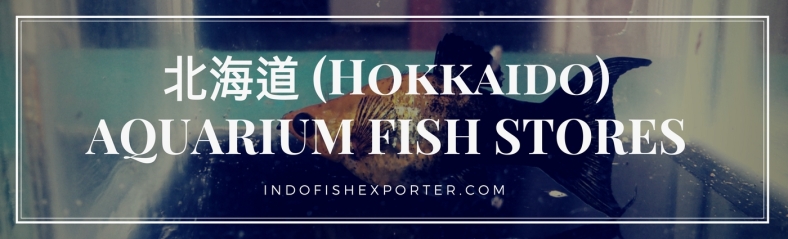 Hokkaido Perfecture, Hokkaido Fish Stores, Hokkaido Japan