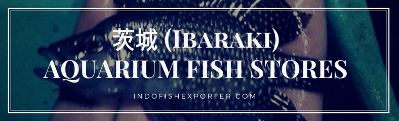 Ibaraki Perfecture, Ibaraki Fish Stores, Ibaraki Japan