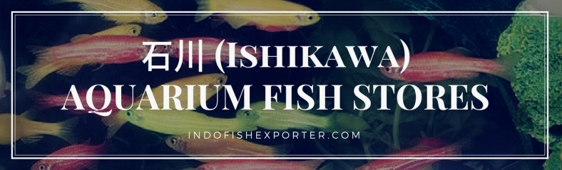 Ishikawa Perfecture, Ishikawa Fish Stores, Ishikawa Japan