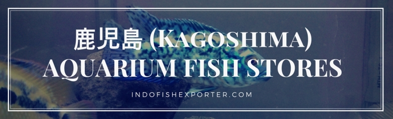 Kagoshima Perfecture, Kagoshima Fish Stores, Kagoshima Japan