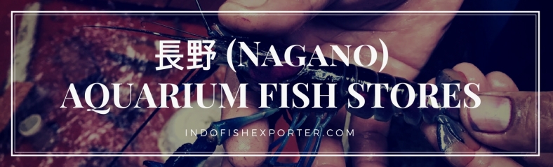 Nagano Perfecture, Nagano Fish Stores, Nagano Japan