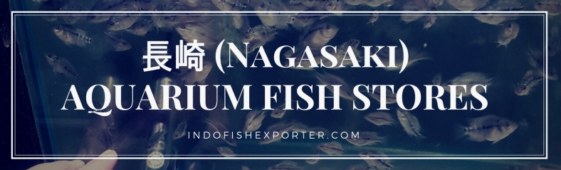 Nagasaki Perfecture, Nagasaki Fish Stores, Nagasaki Japan