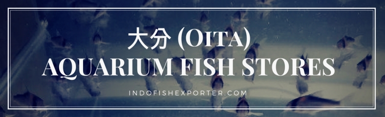 Oita Perfecture, Oita Fish Stores, Oita Japan