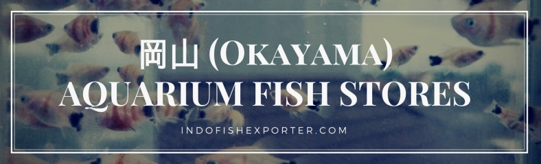 Okayama Perfecture, Okayama Fish Stores, Okayama Japan