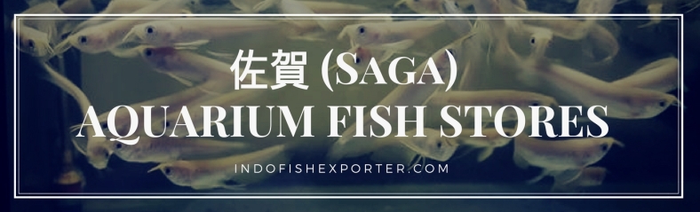 Saga Perfecture, Saga Fish Stores, Saga Japan