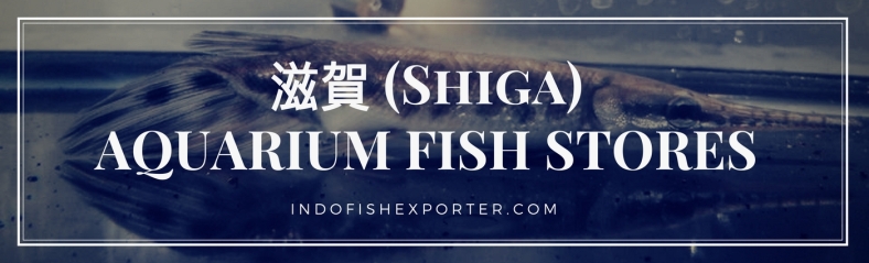 Shiga Perfecture, Shiga Fish Stores, Shiga Japan