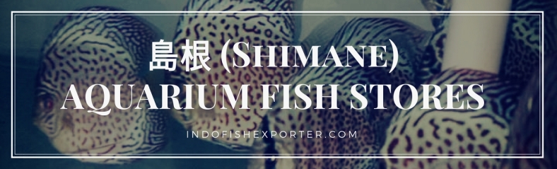 Shimane Perfecture, Shimane Fish Stores, Shimane Japan