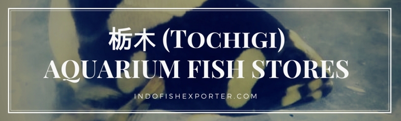 Tochigi Perfecture, Tochigi Fish Stores, Tochigi Japan