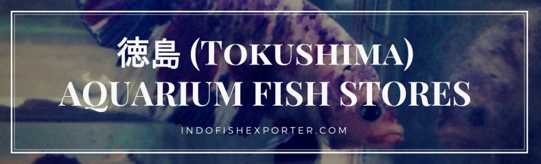 Tokushima Perfecture, Tokushima Fish Stores, Tokushima Japan