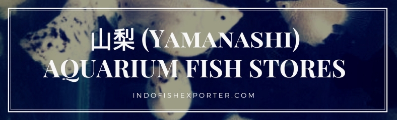Yamanashi Perfecture, Yamanashi Fish Stores, Yamanashi Japan